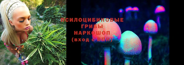 прущие крисы Пересвет