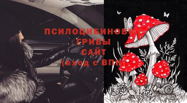 прущие крисы Пересвет