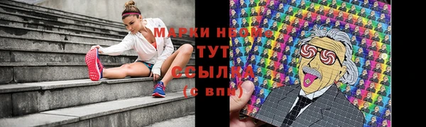 мет Пестово