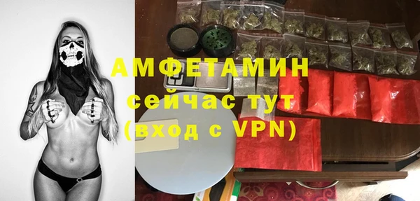 прущие крисы Пересвет