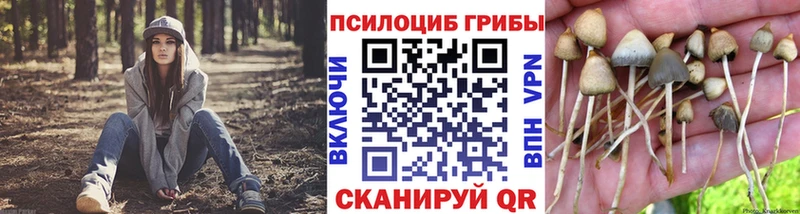 Псилоцибиновые грибы Psilocybine cubensis  Купить закладки  Полтавская 