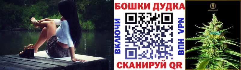 Купить  Полтавская  Каннабис семена 